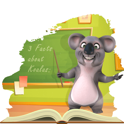 Facts about koalas